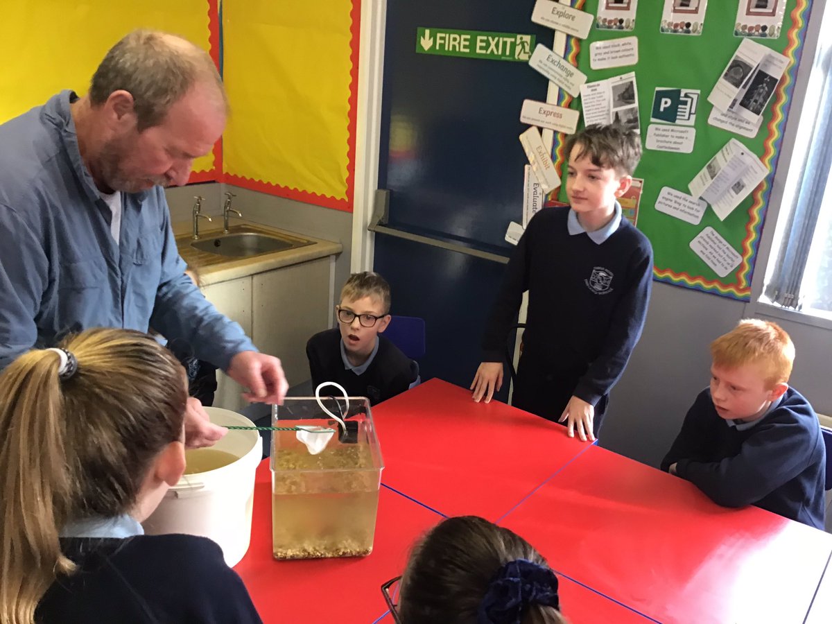 NewRowPS's tweet photo. Good to welcome back our friend Mark Patterson - who trusts us to look after the salmon eggs until they hatch and are ready to release. A super learning opportunity for Y7
#lifecycleofsalmon
#bringinglearningtolife https://t.co/F04w6ZrLlK