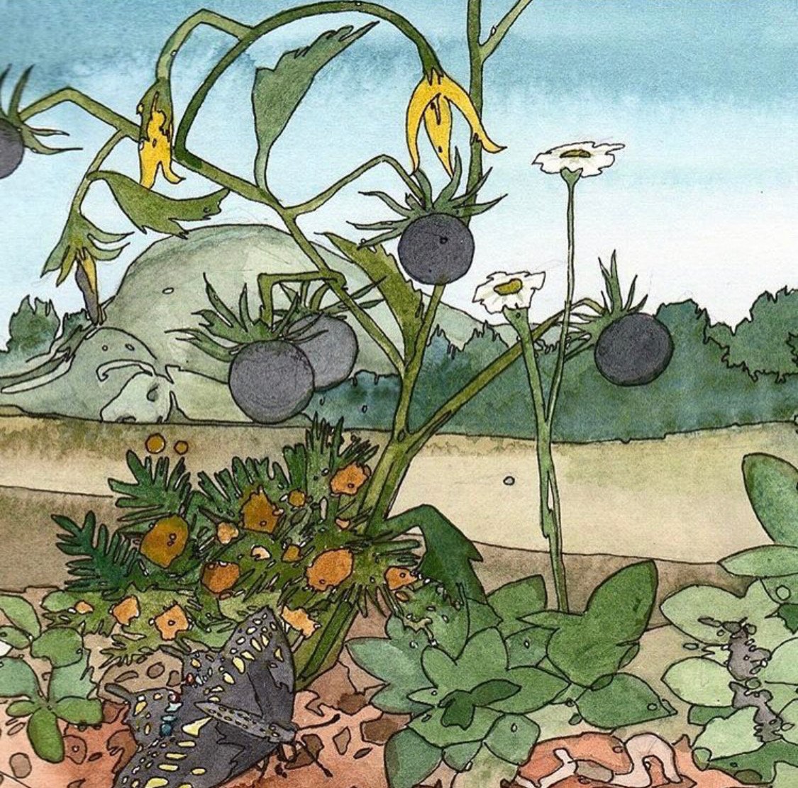 RoCo137's tweet photo. Shown here is just one artwork in #AndreaDurfee’s series inspired by @GLT_Rochester site @FullLotusFarm. For Landscapes &amp; the Unbuilt, Durfee chose the organic farm due to it's “inextricable link between food, land, &amp; body.” For more inspired artworks visit Mon-Sun 12-5/Fri 12-9m https://t.co/lef6yxVoZI