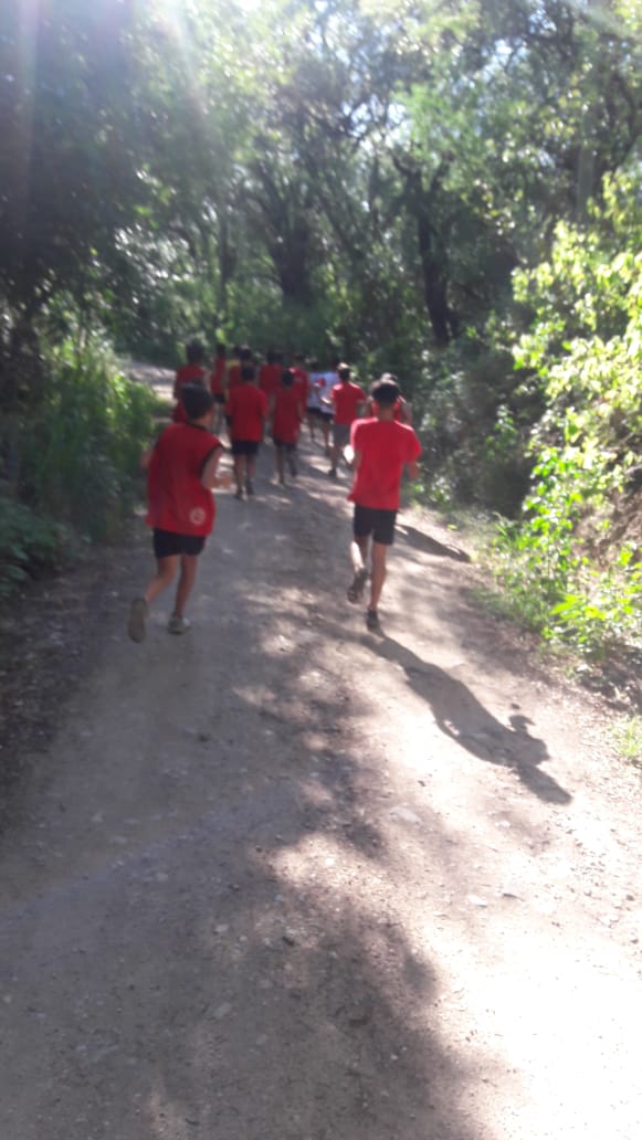 4matiandreani's tweet photo. 3/3 con estos animales
#Pretemporada
#CSM
#Infatiles https://t.co/UuVbHzuHHu