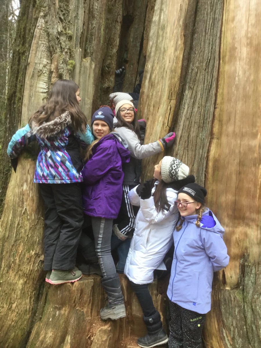 Grade 6 run wild at Cheakamus Centre!  bit.ly/2NahaJE <a href="/NVSD44/">School District 44</a>
