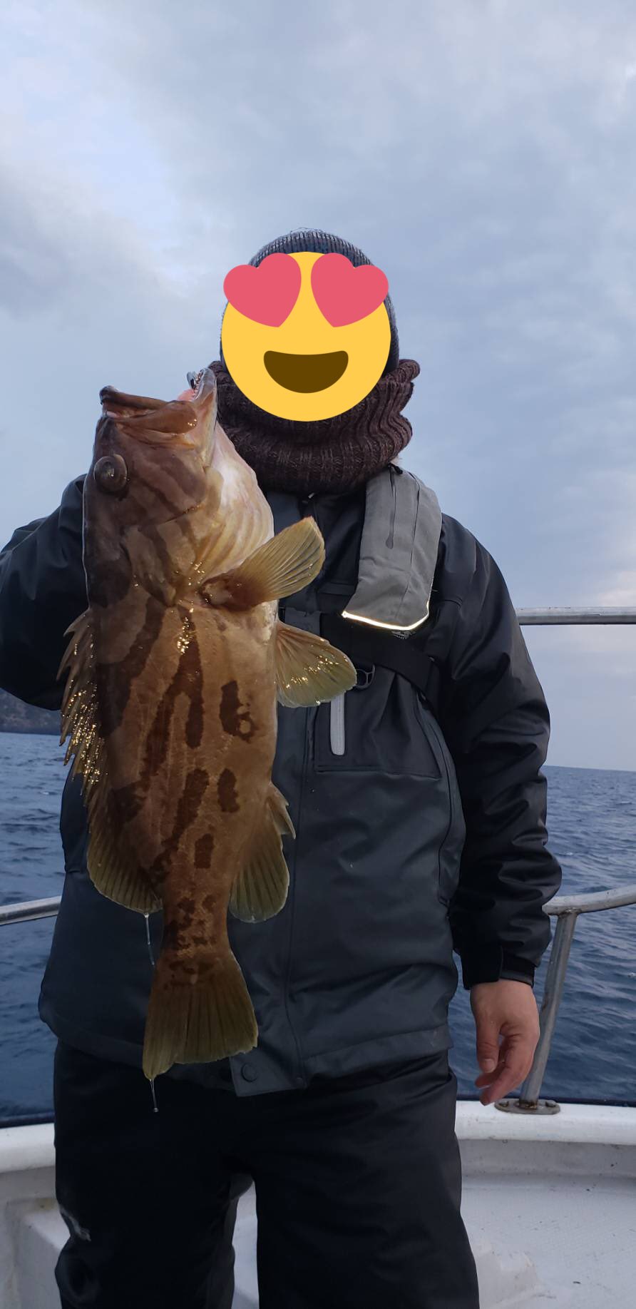 ホウキハタの特徴 見分け方 写真から探せる魚図鑑