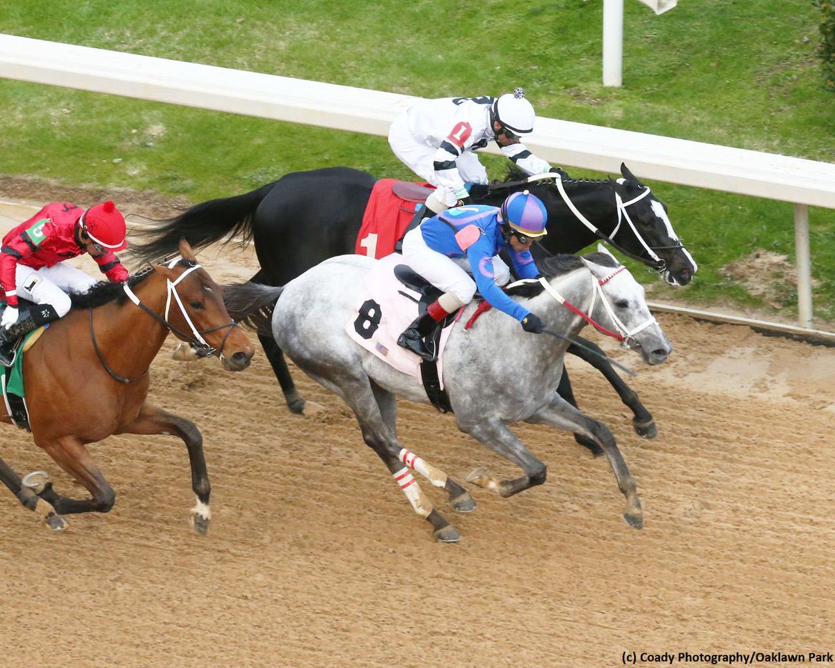 TwinSpires's tweet photo. #GrayAttempt bids for fourth straight win against 10 in #Southwest (G3) @OaklawnRacing 🏇⭐️🌹🏆
https://t.co/RPkQiC3O7o
📸 (c) @CoadyPhoto / #OaklawnPark https://t.co/m1L7iKq2J4
