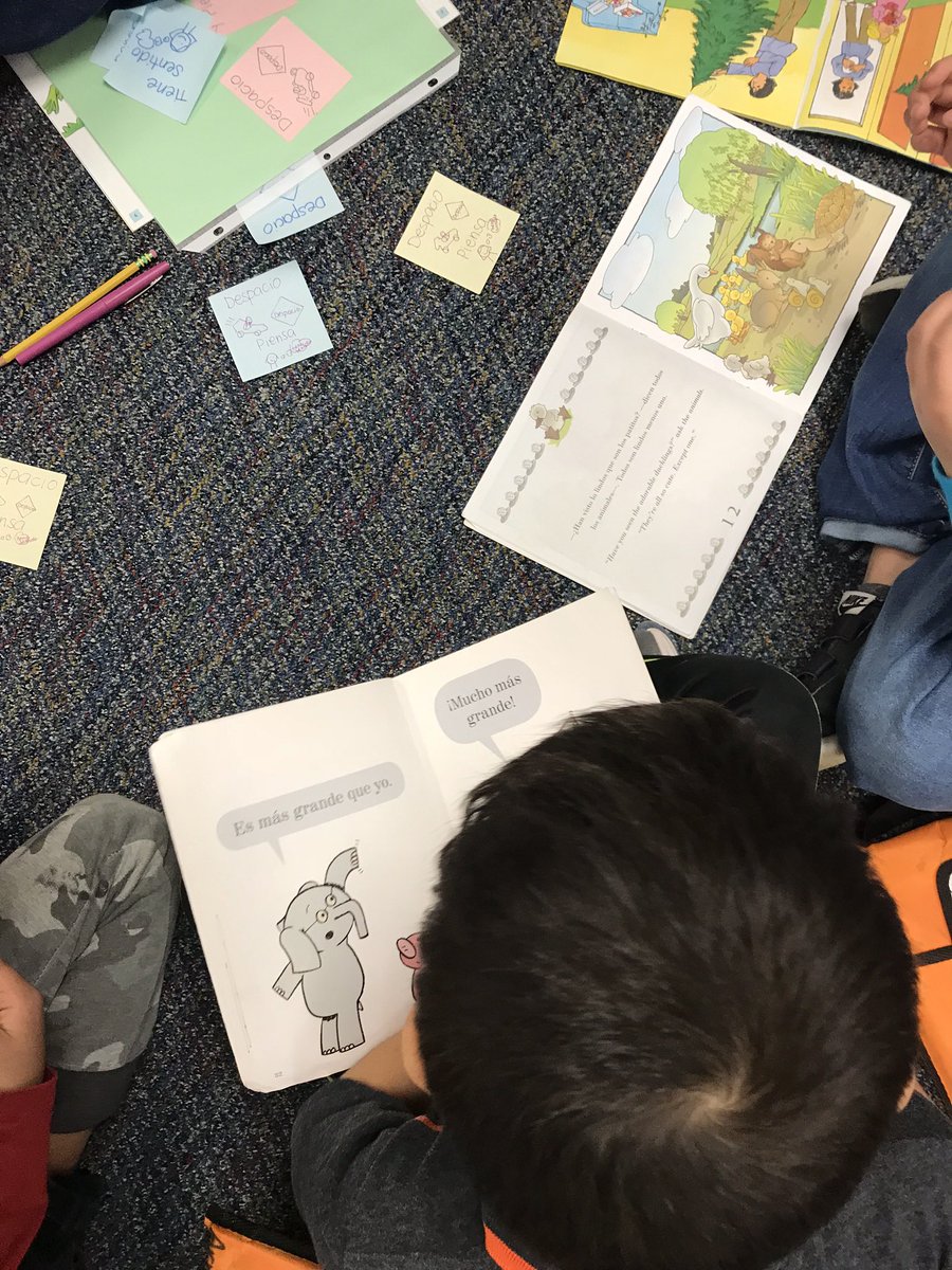 Molly Picardi tweet media