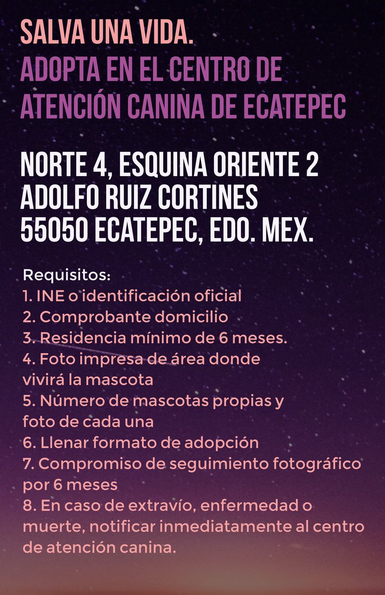 Nos reportan muchos perritos talls chica en el Antirrábico de Ecatepec, la mayoría tipo poodle 😞