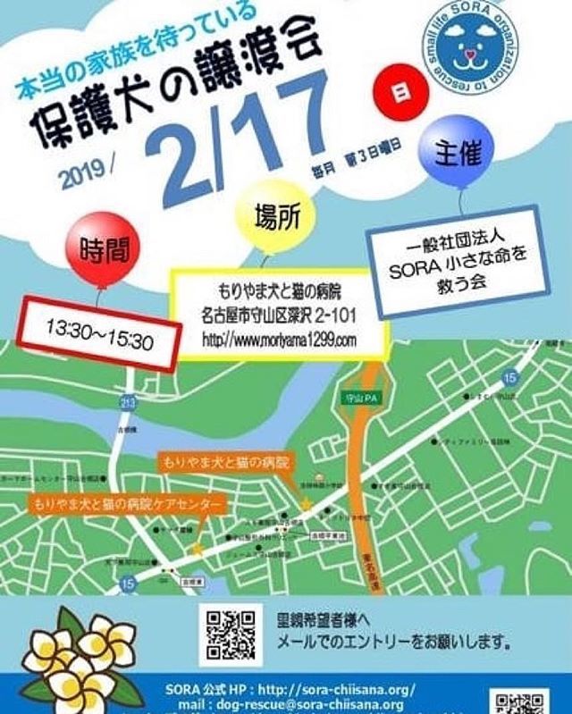 もりやま犬と猫の病院 Hashtag On Twitter