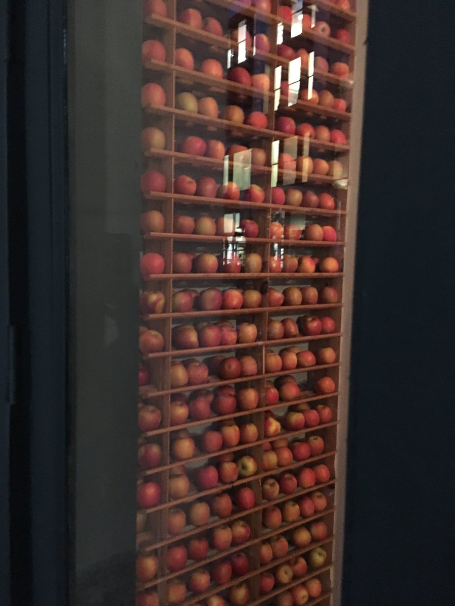 Wall of apples. Glimpsed through the window of Bouley test kitchen. NYC.