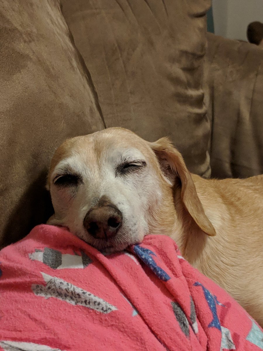 hypey06's tweet image. Always up for snuggles...