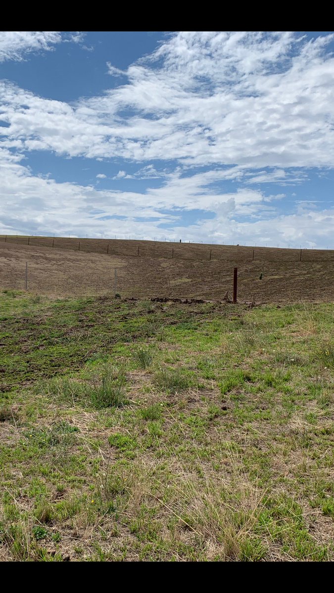 This erosion is from a 12mm rain event, the farmer who keeps plants and groundcover receives water and nutrients from the farmer who does not. #regenerativeagriculture #lachlandcare #landcare #soilhealth #riverhealth #holisticmanagement #healthywatercycle