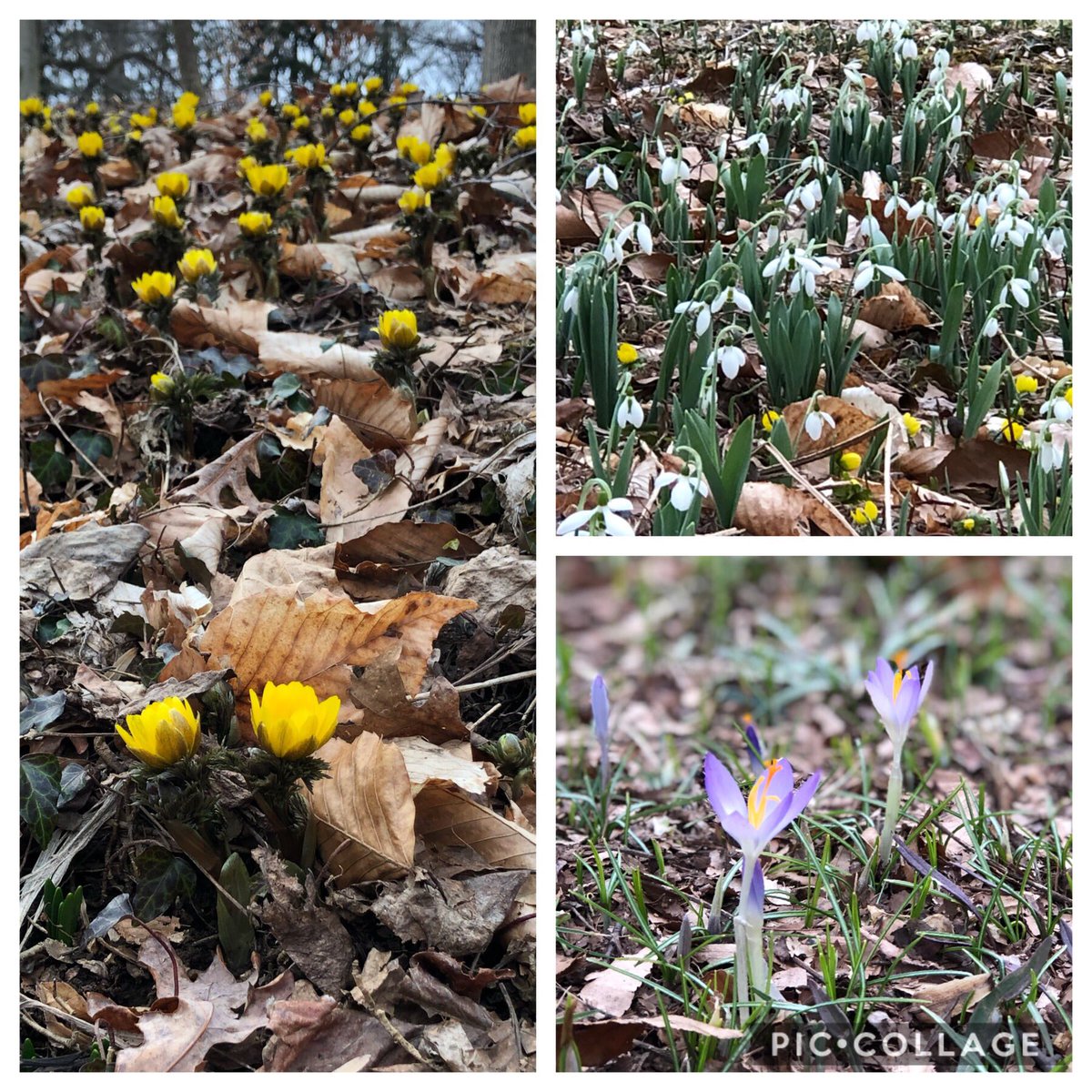 Tina Donato tweet media