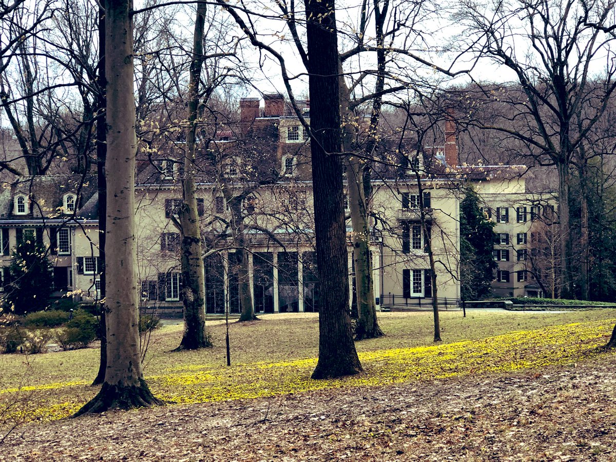 Tina Donato tweet media