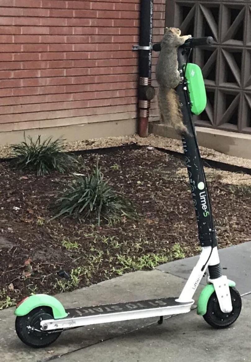 you got a fast car
and i got a plan to get us outta here 🎵