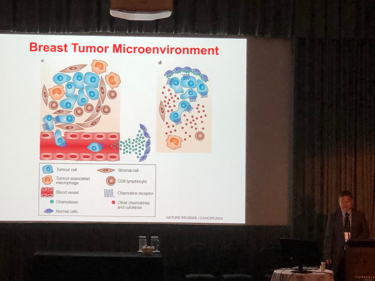 Erwei Song speaking on the Tumor MicroEnvironment #TME #LorneCancer ⁦<a href="/LorneCancer/">Lorne Cancer Conference</a>⁩