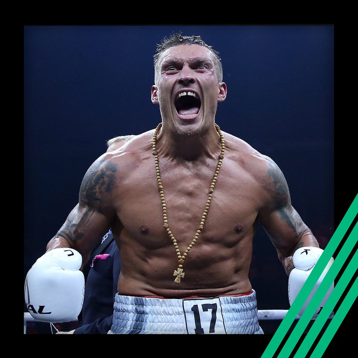 World Boxing Council tweet media