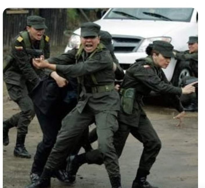 NoSoyFake tweet media