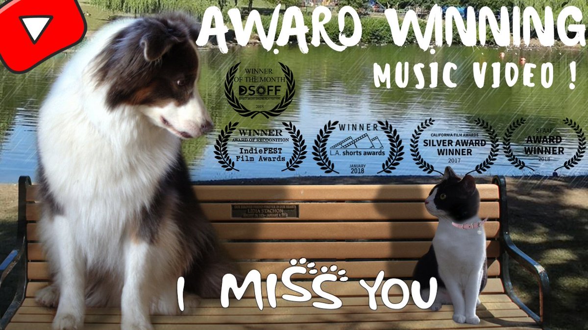 Music Lovers Fans♫ tweet media