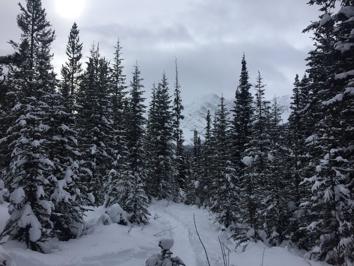 306Teacher's tweet photo. Environmental inquiry on snowshoes with an amazing group of educators! #ClassroomsDontNeedWalls #CCTCA2019 https://t.co/W718HgNFOU
