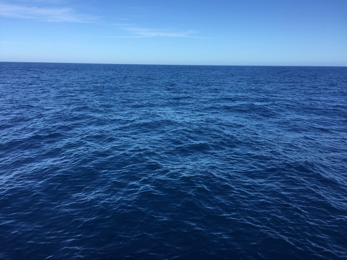 Charlie Huveneers tweet media