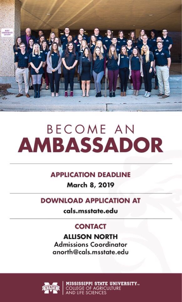 MSU CALS Ambassadors tweet media