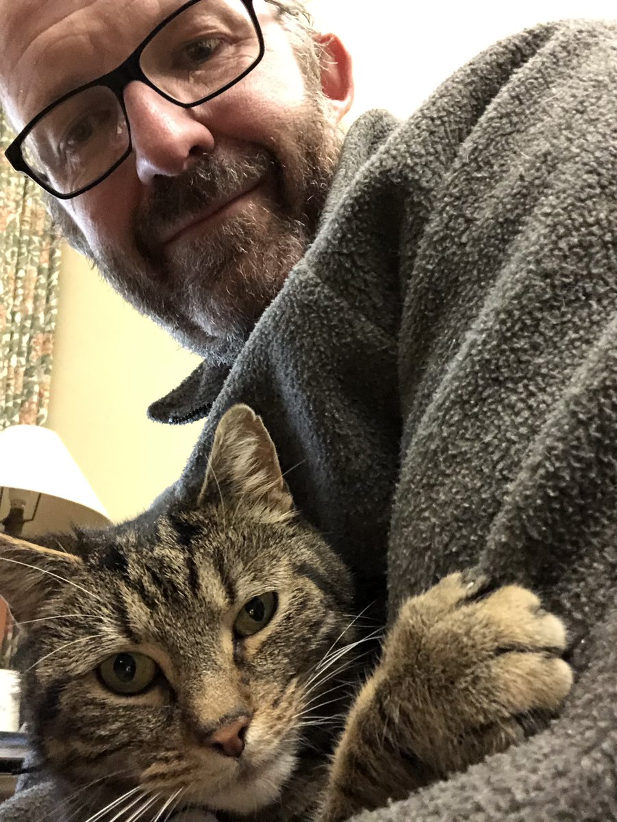 _mearsie's tweet photo. PA sez I his valentine. Dis gud fing? https://t.co/wIdLd9hy1T