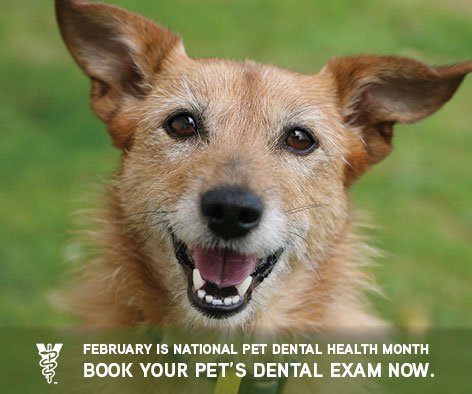 highlandvet's tweet photo. https://t.co/HcF2lQnyIG
