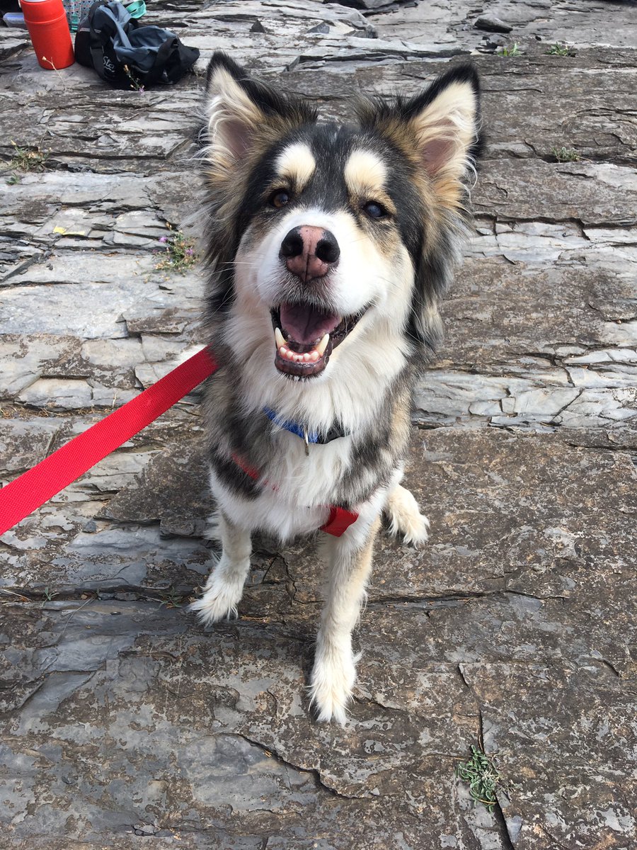 Brittany Wyckoff✨ tweet media