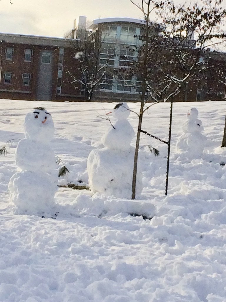 We made snowmen today!😆 #ueslcwu #cwu #wildcats #studyabroad #snowmen #winteractivity #winter2019 #fun #washingtonstate #ellensburg