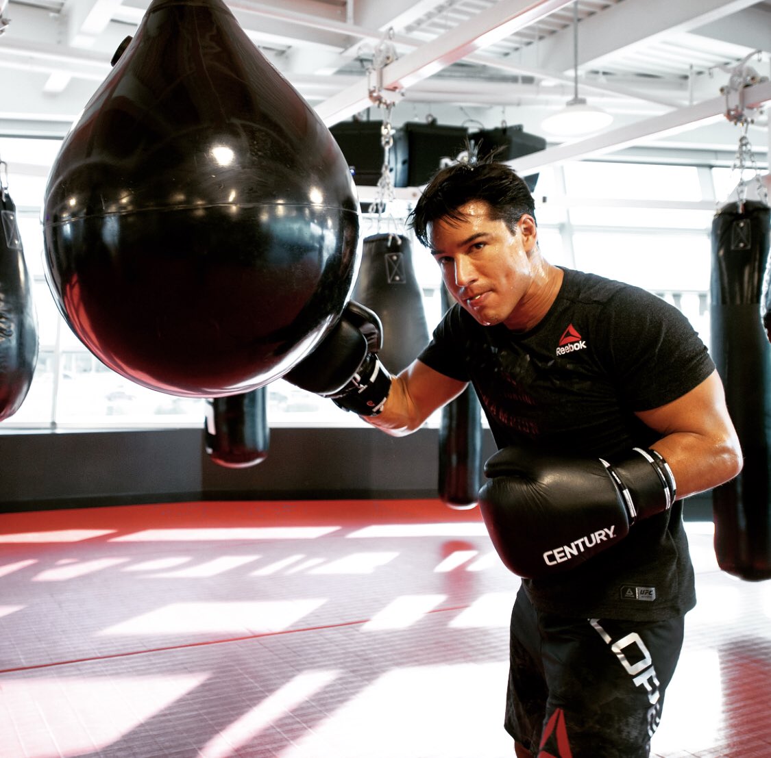 mariolopezviva's tweet photo. It was like Christmas hangin out & training at the @UFC Performance Institute today...
Thanks @DanaWhite!
#Vegas #UFC #PerformanceInstitute #Training https://t.co/QXYP2MFNhe