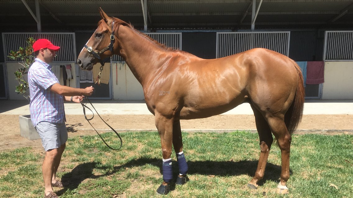 Amy Yargi tweet media