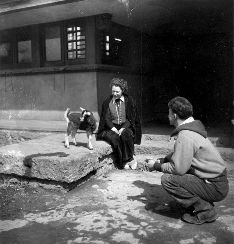 Tibbals-Musson was started in the late 1930’s by Todd Tibbals and Noverre Musson, two of the most important figures in bringing modernism to Columbus. Musson had studied under Wright at Taliesin with his wife Cornelia, where these old photos were taken (look at that lil’ goat!)