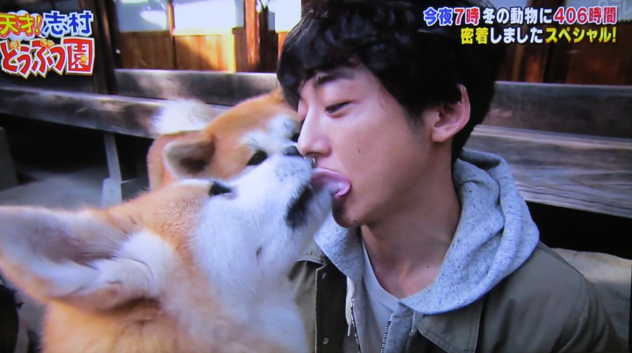 高橋一生の愛犬って知ってる 高橋一生の愛犬の犬種や名前を紹介 ワンコとhappy Life