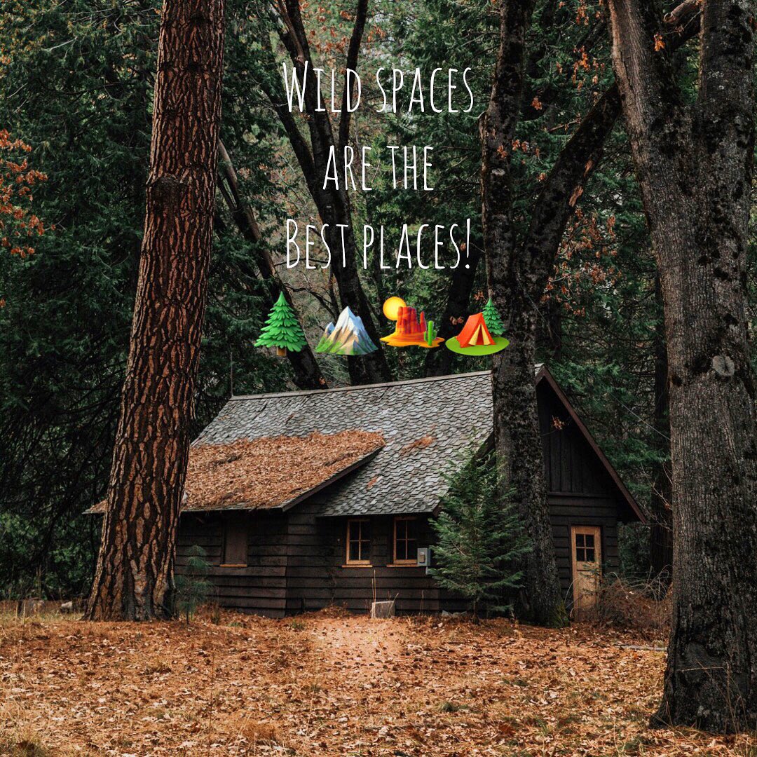 patchofwild's tweet image. 