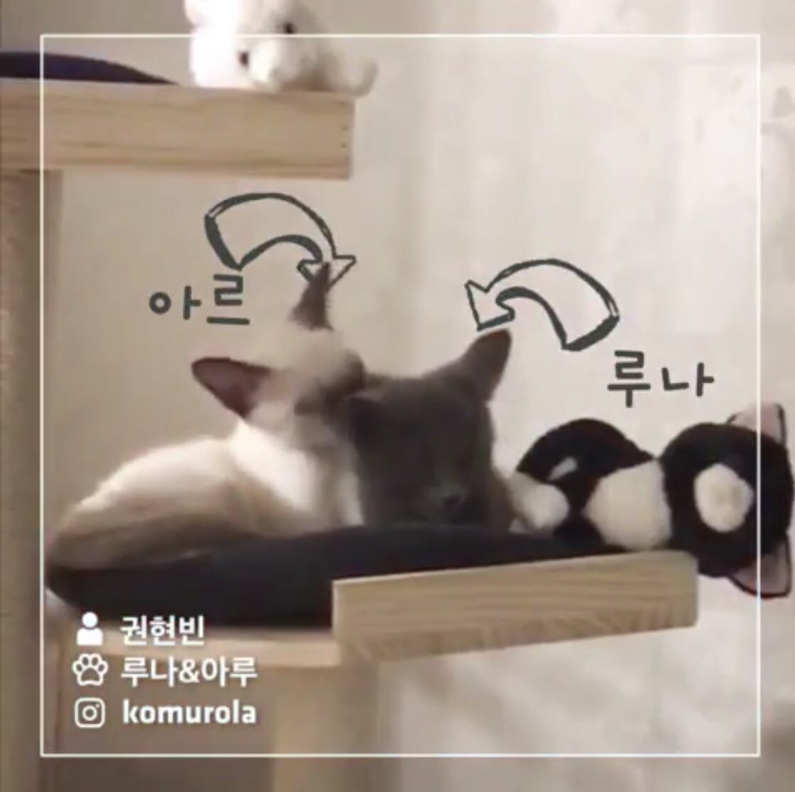 บีนี่ควอนครับแม่ ᯅ̈ tweet media