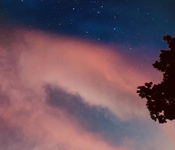ScottMaze2's tweet photo. This is what the Sovereign Lord, the Holy One of Israel, says: “In repentance and rest is your salvation, in quietness and trust is your strength, but you would have none of it.” 
—Isaiah 30:15 https://t.co/8lTut44Ybx