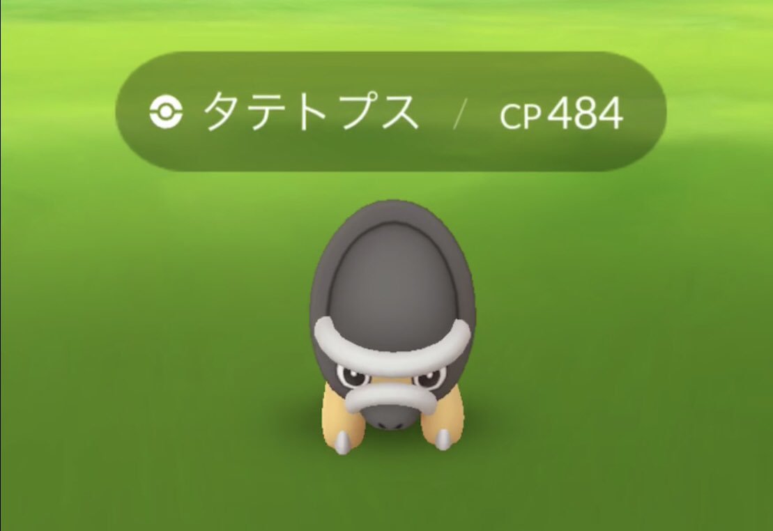 ざわ デザイナー8年目 きのこの山 2匹目うれしい タテトプス ポケモンgo Pokemongo T Co Pofopxvrbs Twitter