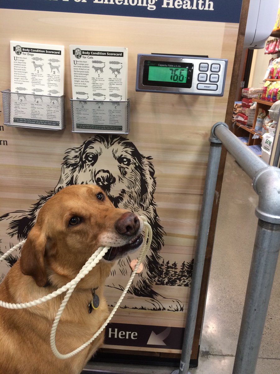 Tony Mehalovich tweet media