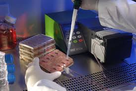 ToxicEnv's tweet photo. In silico toxicology–non-testing methods
#environmental #Toxicology 
https://t.co/IPyAuqgYLN https://t.co/lPCotm8sqg