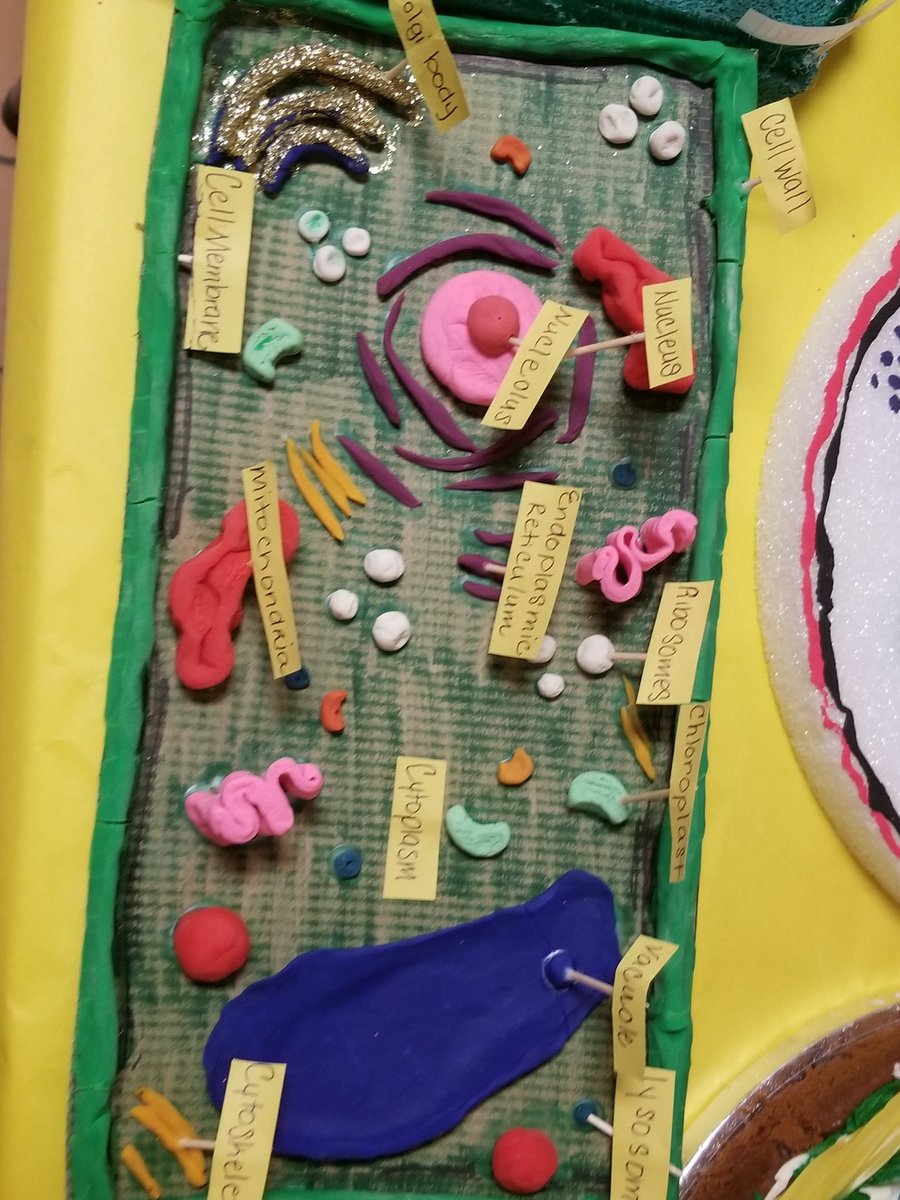 Dannelly Elementary students made 3d plant cells in science. <a href="/DwightKBrooks/">Dwight K. Brooks</a> <a href="/DegaSuper/">SuperDega</a> <a href="/DrLESmith/">Dr. Lue Ella Smith</a> <a href="/WillieshWshelby/">W.Shelby, Ph.D</a>