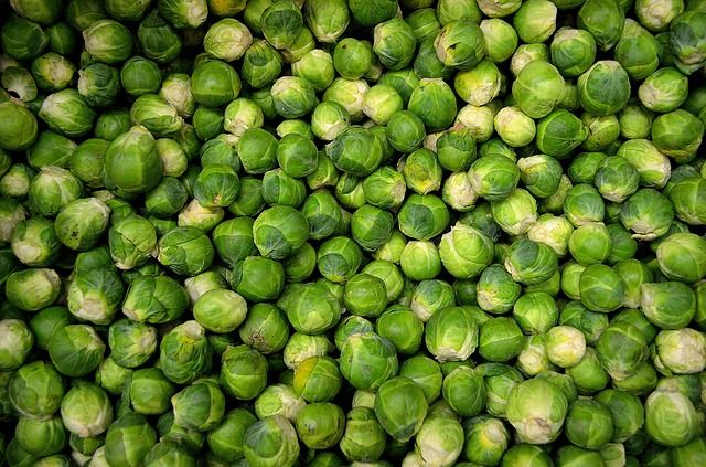 Image result for Biotechnology to the rescue of Brussels sprouts