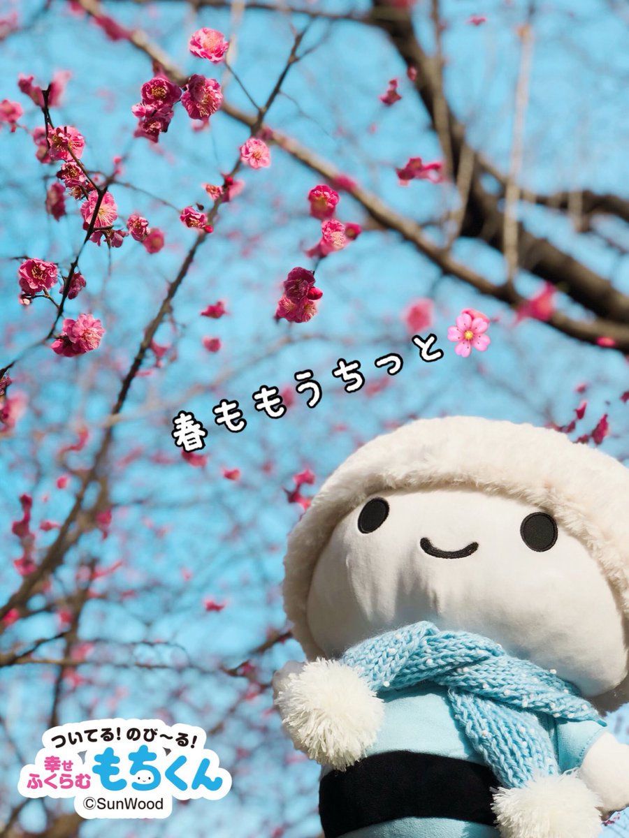 梅がキレイ〜！
寒いけど春ももうちっと🌸

#もちくん #梅 #春 #春はもうすぐ #幸せふくらむ #受験生がんばれ #ねばりづよく #必勝合格 #開運ついてる #キャラクター  #mochikun #mochichan #mochi #ume #Japanesecultures #anime #kawaii #Character #stickerline