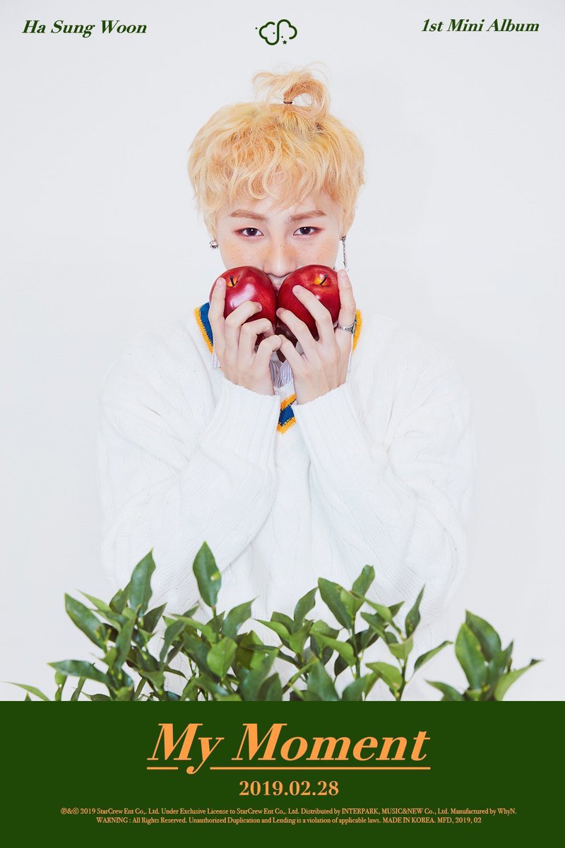 sengnotcute's tweet photo. (혼란💦) https://t.co/npLz4iY1LK