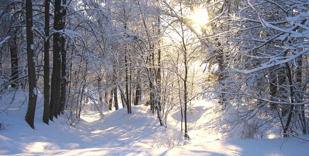Праздники 16 февраля 2019 года
segodnyaprazdnik.com/prazdniki-16-f…