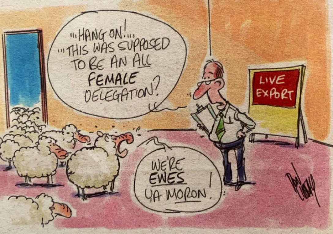 Debra Edmonds🐾 tweet media