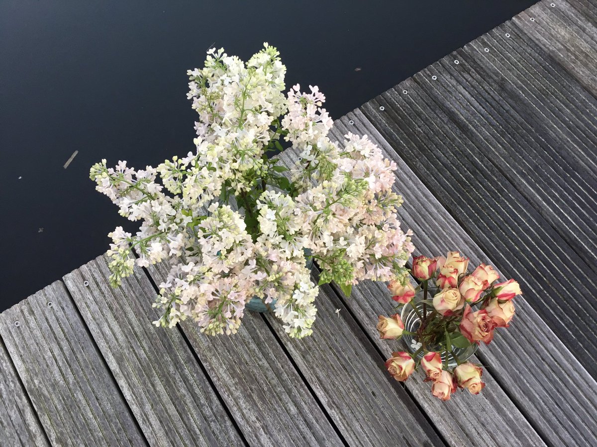 Het wordt vandaag een prachtige dag weer in Nederland Bloemenland ! Wij zijn alvast naar buiten ! Goed weekend !