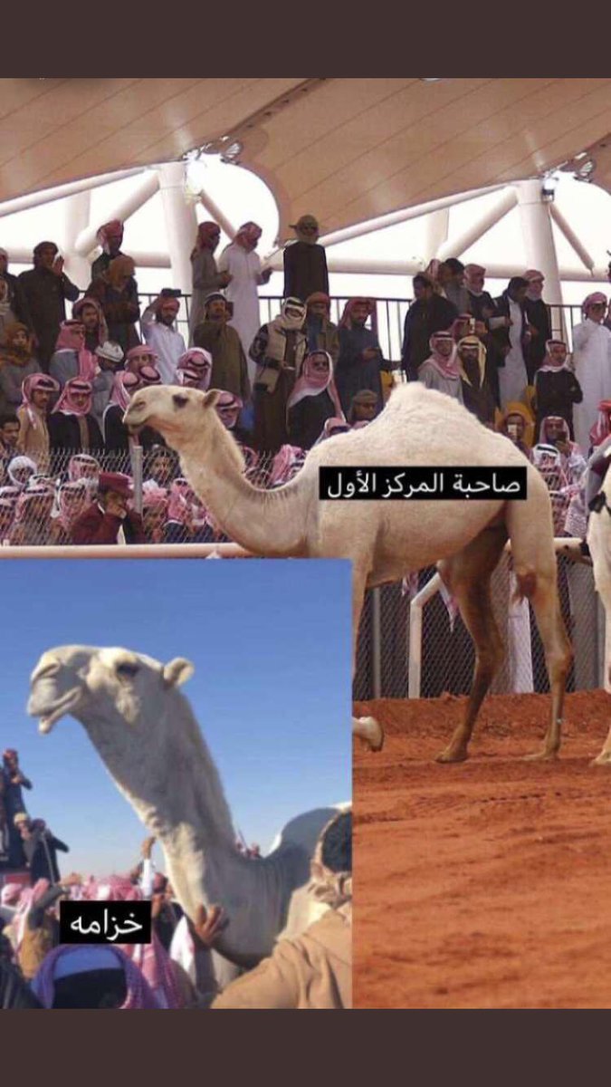🔥 عاشق الذود🔥 (@y_sr76) on Twitter photo 