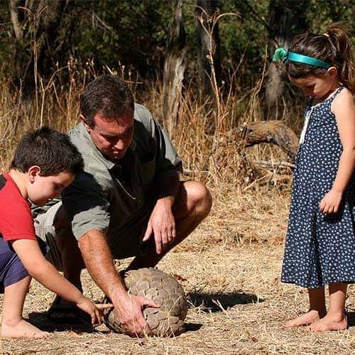 Today is #WorldPangolinDay! We applaud the anti-poaching efforts of our team, the #BushlifeSupportUnit - since January 2016, they have recovered 21 live #pangolin which have all been rehabilitated back into the wild 👏 Photo: Nick Murray and his children