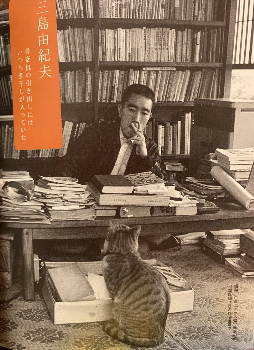 三島の描く猫の味わい深さ 