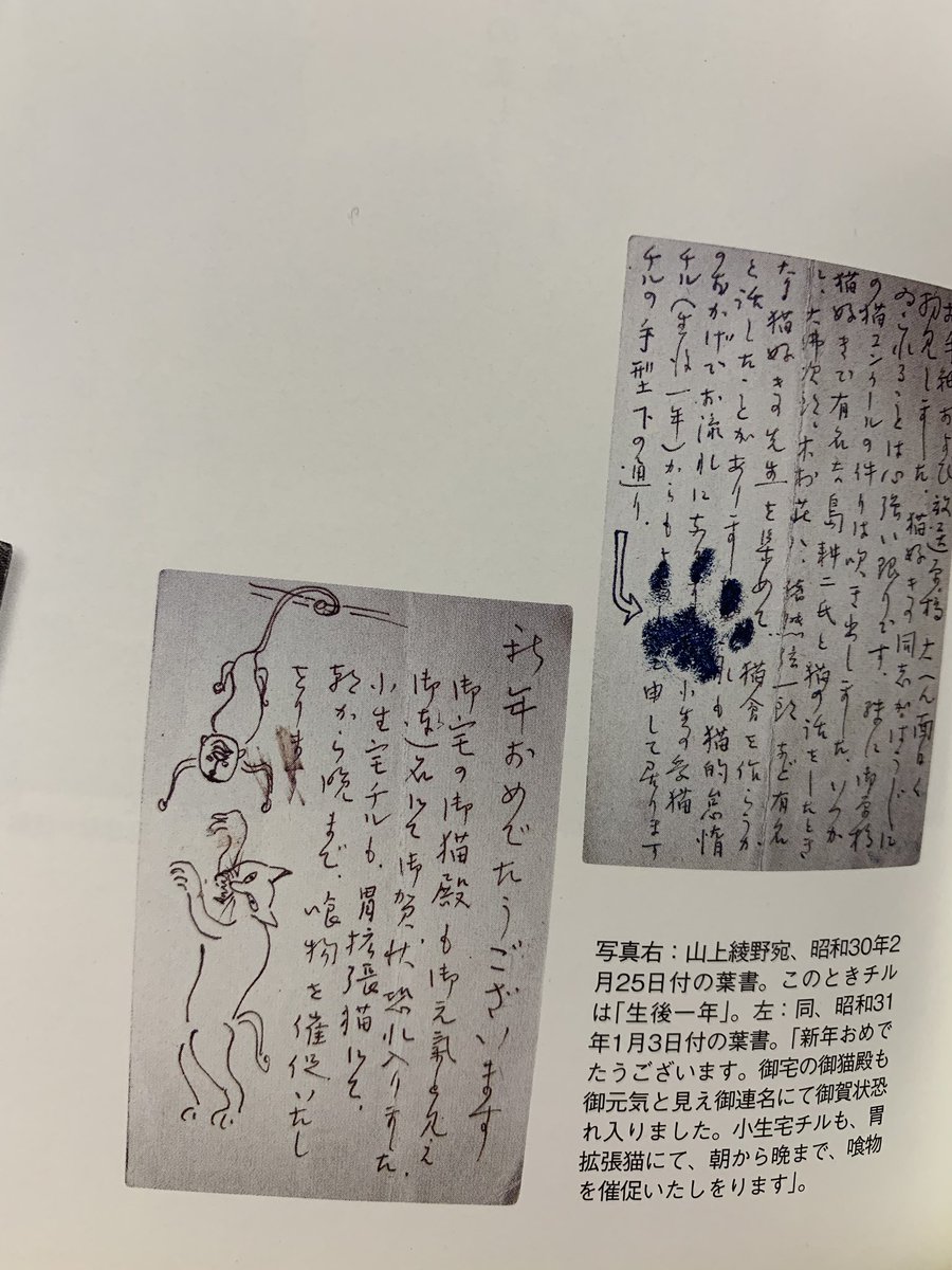 三島の描く猫の味わい深さ 