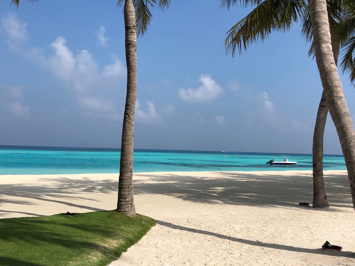 Collado Herve (@herveco1973) on Twitter photo 