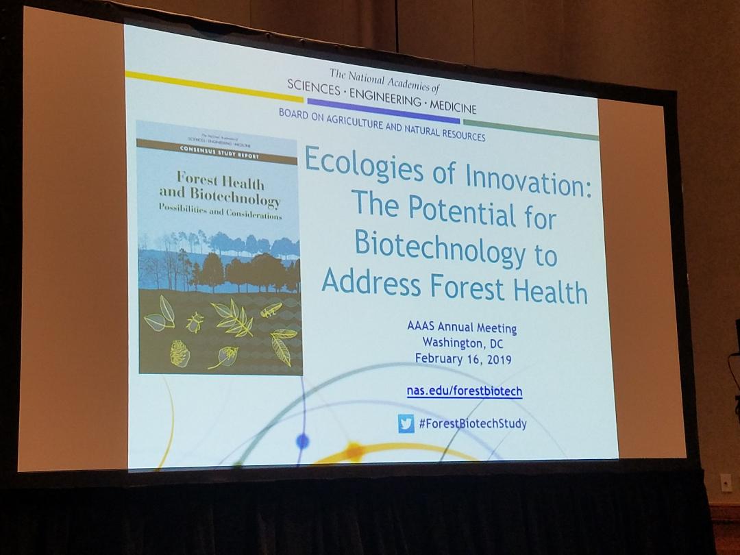 NASEM_Ag's tweet photo. NOW at #AAASmtg in Thurgood Marshall West Room: @theNASEM #ForestBiotechStudy session: Ecologies of Innovation: The Potential for #Biotechnology to Address #ForestHealth w/ Jason Delborne, Inés Ibáñez, Stephen DiFazio, & Gregory Jaffe https://t.co/vUJmKDWim8 https://t.co/dR4ZxU2SHQ