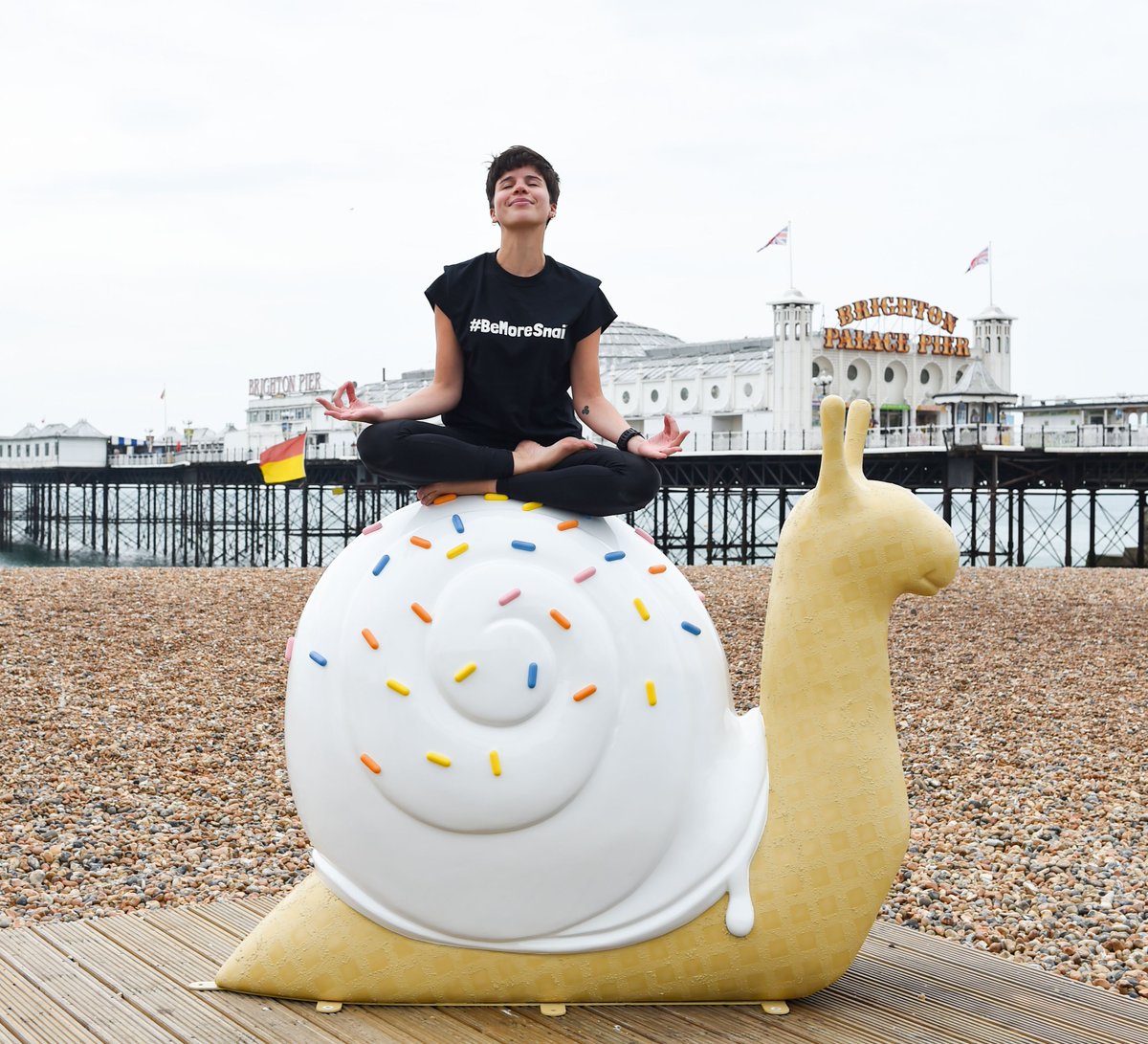 Specialist Models had the opportunity to produce these two special edition snails that featured in Wild In Art's Snailspace art trail.  Scoopalicious and FABtastic were sponsored and designed by Brandwatch.